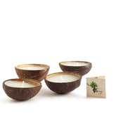 THENGA Coconut Shell Eco-Friendly Candle/Diya (Set of 2)